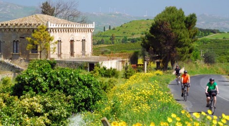 Bike Tours